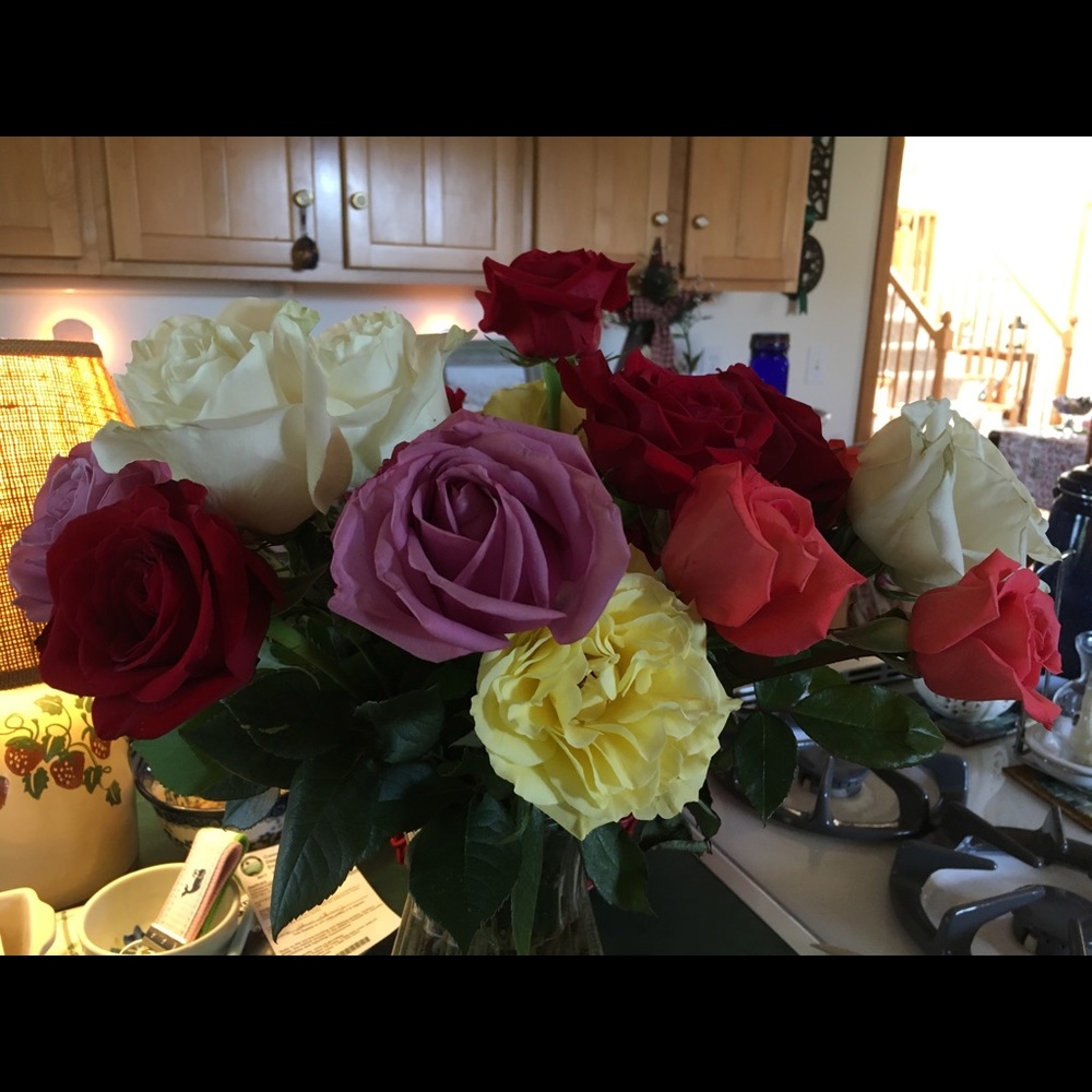 Meet your Posher, Beth